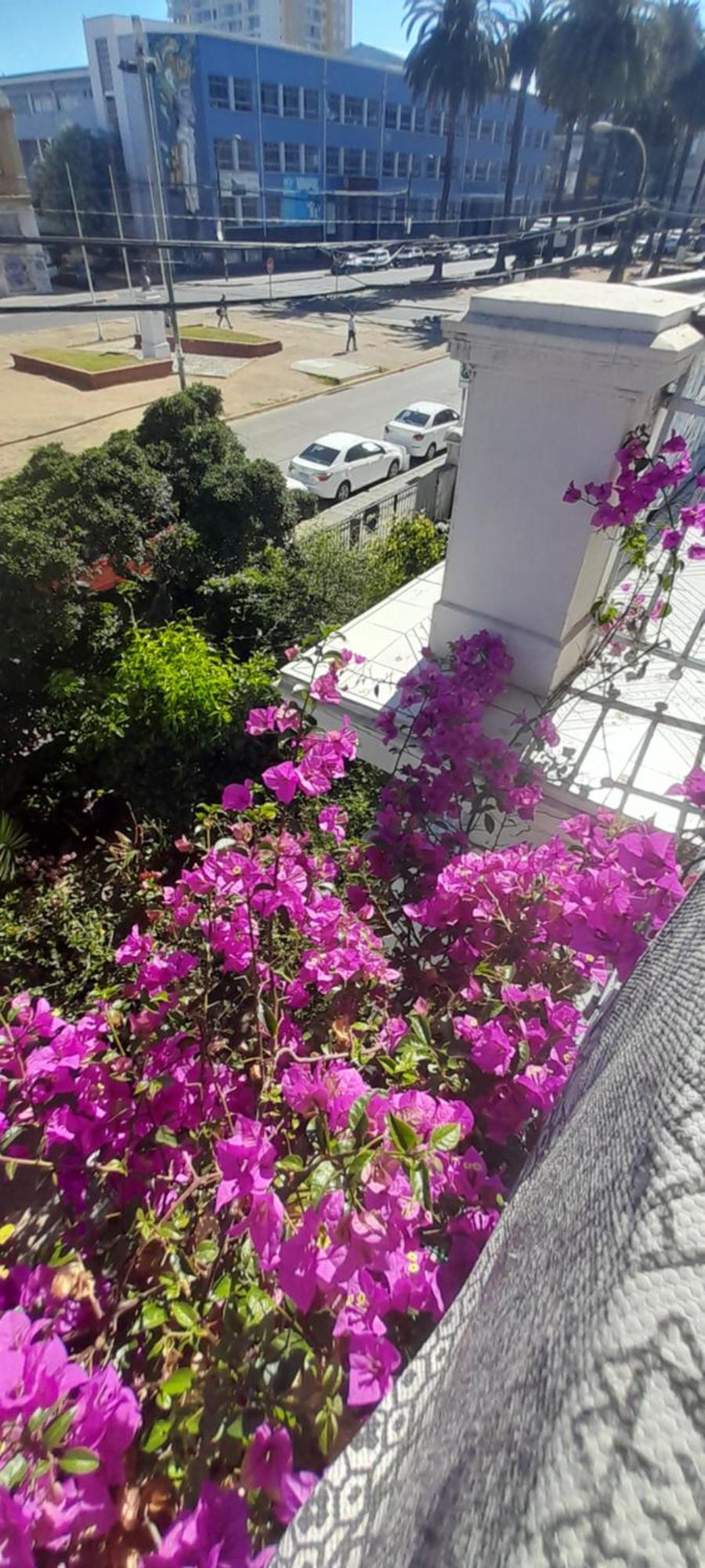 Blanca Rosa Valparaiso B&B Екстериор снимка